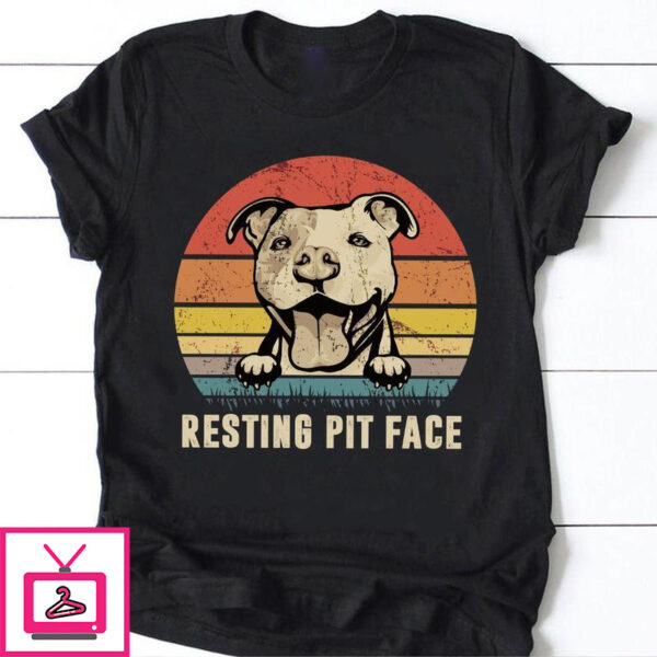 Pit Bull- Resting pit face