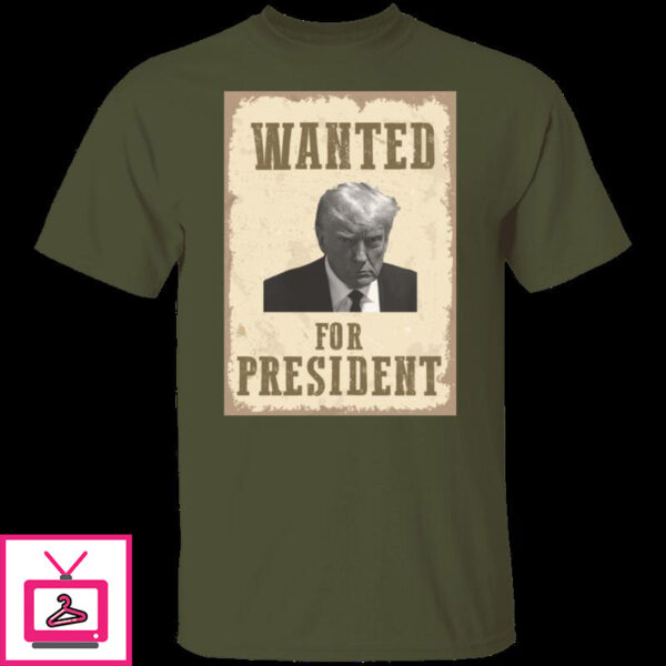 Wanted For President