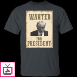 Wanted For President 4