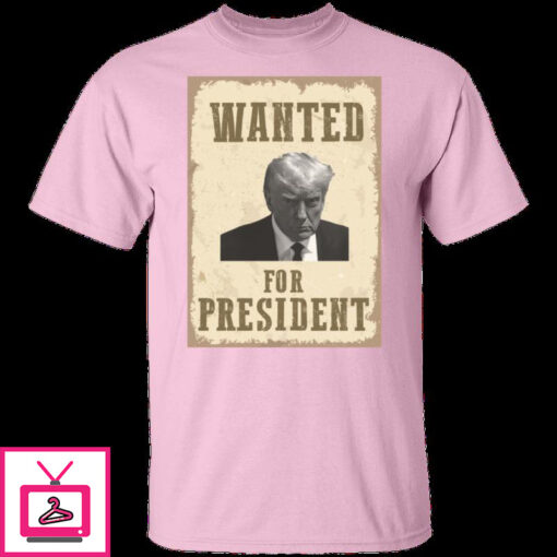 Wanted For President 6