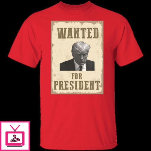 Wanted For President 9