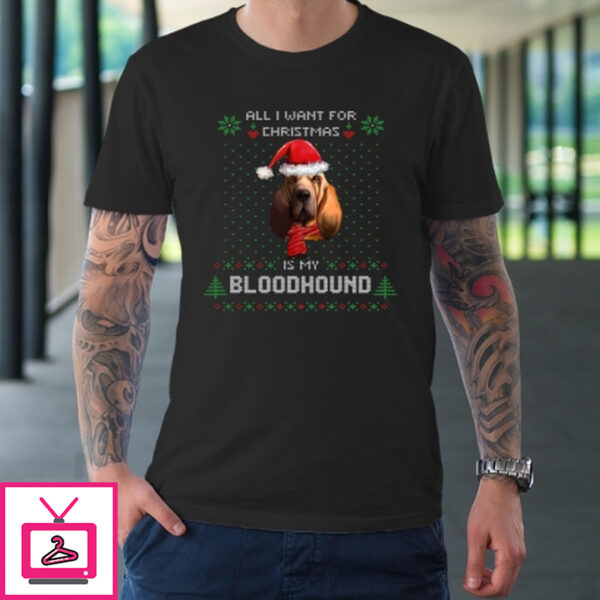 ALL I WANT FOR CHRISTMAS IS MY BLOODHOUND T-Shirt