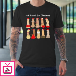 All I Want For Christmas Is Cock Funny Christmas T-Shirt