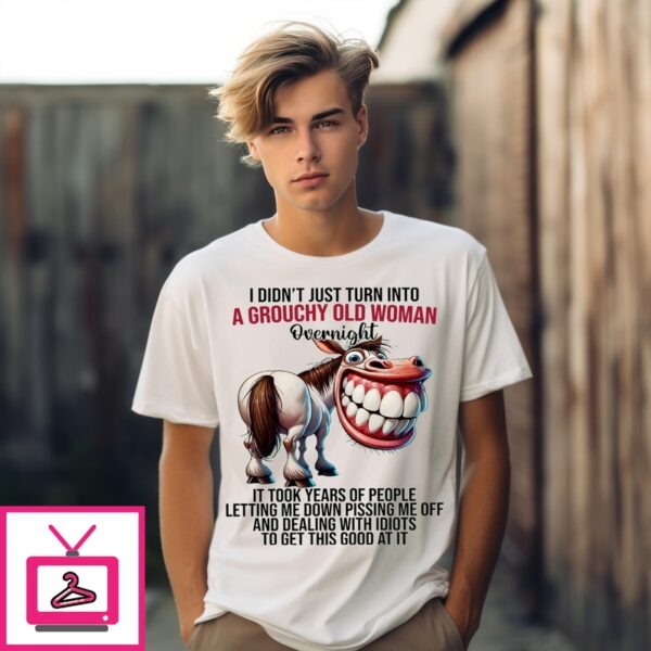 Goofy T-Shirtth I Didn’T Just Turn Into A Grouchy Old Woman Overnight T-Shirt