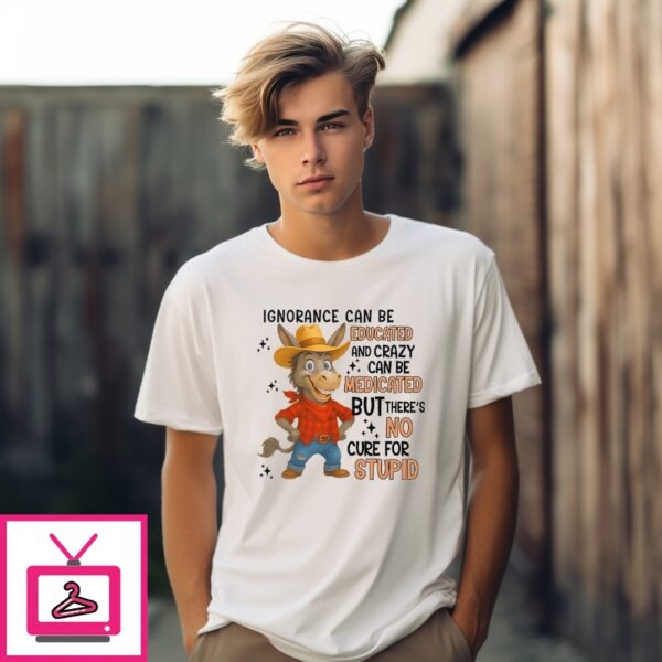 Ignorance Can Be Educated And Crazy Can Be Medicated But There’S No Cure For Stupid T-Shirt
