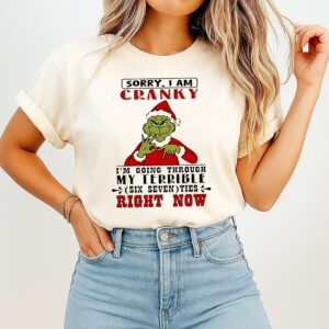 Grinch Santa Sorry I Am Cranky I’m Going Through My Terrible Six Seven Ties Right Now T-Shirt