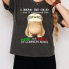 Sloth I May Be Old But I Witnessed The Rise And Fall Of Common Sense T-Shirt
