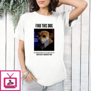 Find This Dog The Marlins Would Like To Treat Him To A Dream Day At Loandepot Park T-Shirt