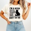 Black Cat I’m A Bitch Beautiful Intelligent Thoughtful Caring Honest With A Low Bullshit Tolerance T-Shirt