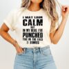 I May Look Calm But In My Head I Have Punched You In The Face 3 Times T-Shirt