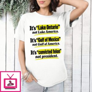 It’s Convicted Felon Not President Political Slogan T-Shirt